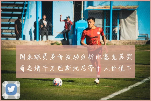 国米球员身价波动分析比塞克苏契奇各增千万巴斯托尼等十人价值下滑