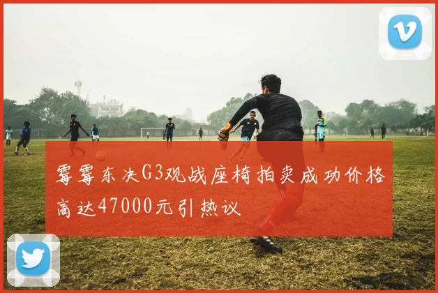 霉霉东决G3观战座椅拍卖成功价格高达47000元引热议